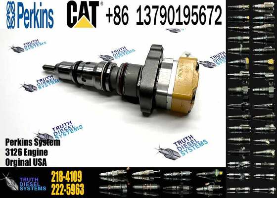 Excavator Injector 218-4109 2184109 10R-9000 10R9000 183-6797 1836797 for 3126 Engine Parts Diesel Nozzle Assembly