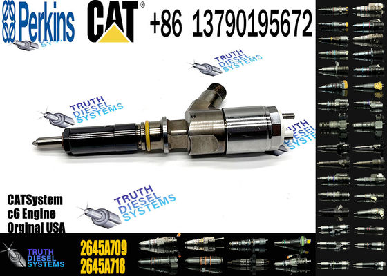 Fuel Injector 2645A743 2645A747 2645A709 for C6 C6.6 1106D-E66TA Engine
