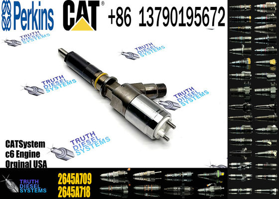 Fuel Injector 2645A743 2645A747 2645A709 for C6 C6.6 1106D-E66TA Engine