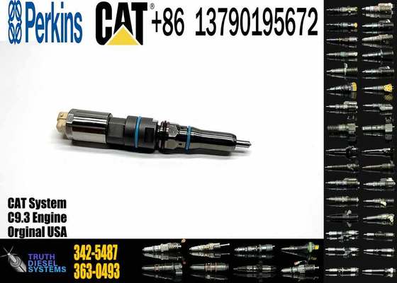 Common Rail Fuel Injector 304-3637 324-5467 342-5487