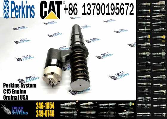 Excavator Parts 3512B Diesel Engine New Fuel Injector 204-2067 229-1631 245-8272 246-1854 250-1311 for Excavator