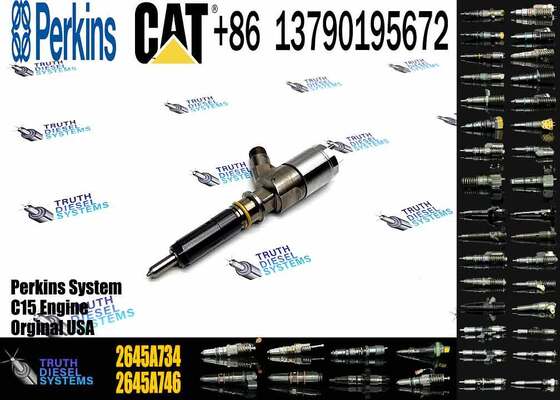 New Fuel Injector 292-3780 320-0680 2645A718 2645A734 310-9067 292-3770 292-3755 for Caterpillar C4.4 320D C6.6 323D Engine