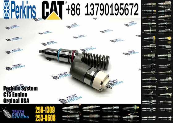 High Quality Diesel Diesel Fuel Injector 250-1309 2501309 10R-3258 10R3258 for C13 Excavator Parts Engine