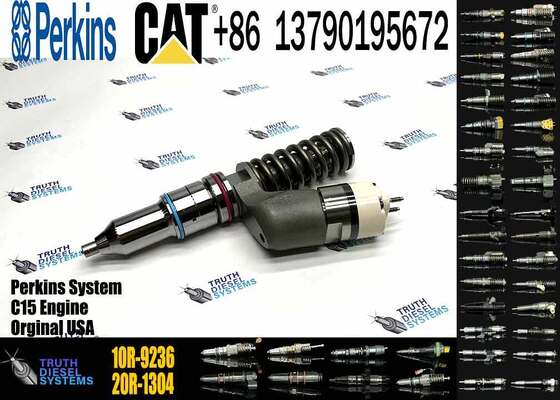 Fuel Injector 10R-1273 10R1273 10R-9236 249-0709 10R-8501 10R8501 10R1273 10R9236 239-4909 for Caterpillar Cat
