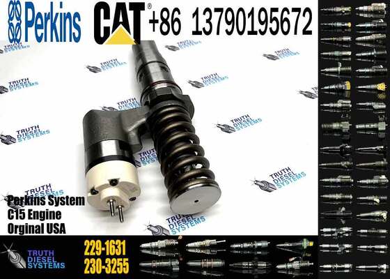 Excavator Parts 3512B Diesel Engine New Fuel Injector 204-2067 229-1631 245-8272 246-1854 250-1311 for Excavator