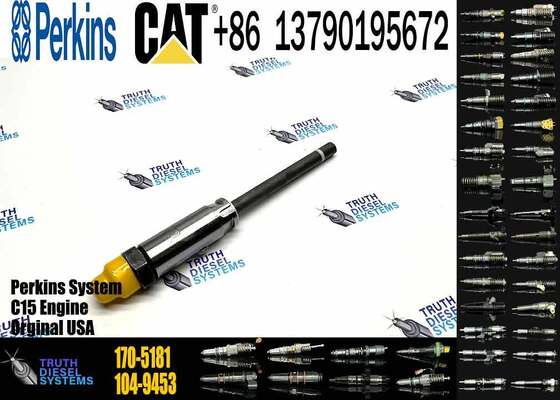 Fuel Injector 153-7923 162-0212 162-8809 162-8813 170-5181 171-9704 171-9710 172-5780 174-7526